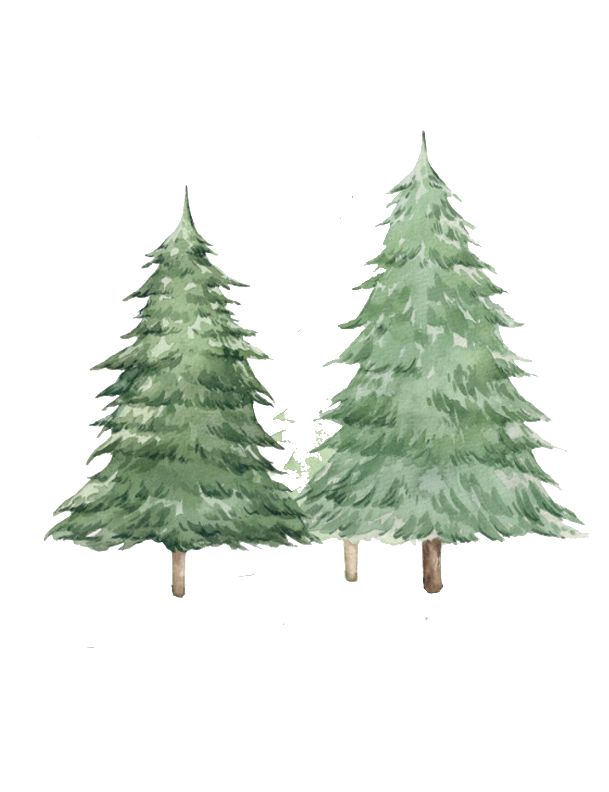 Pinos